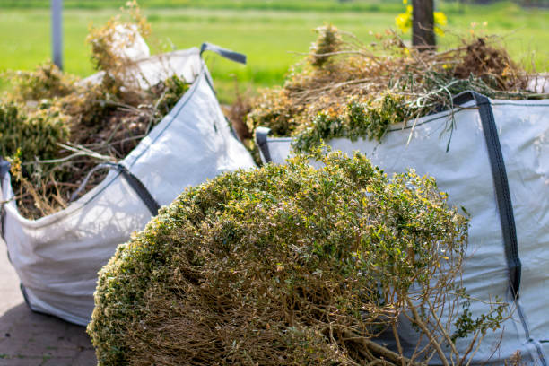 Best Hoarding Cleanup  in Wliamsvle, IL